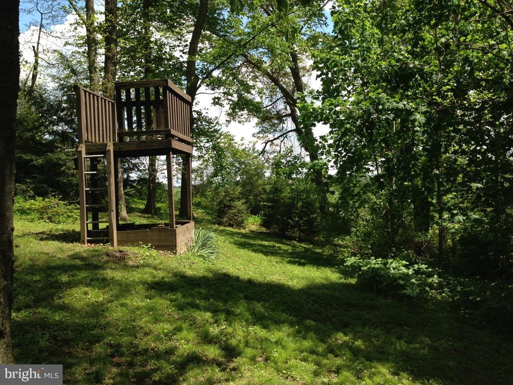 1161 Cider Press Road Manheim, PA 17545 - Photo 51 of 56 a view of a house with backyard and garden
