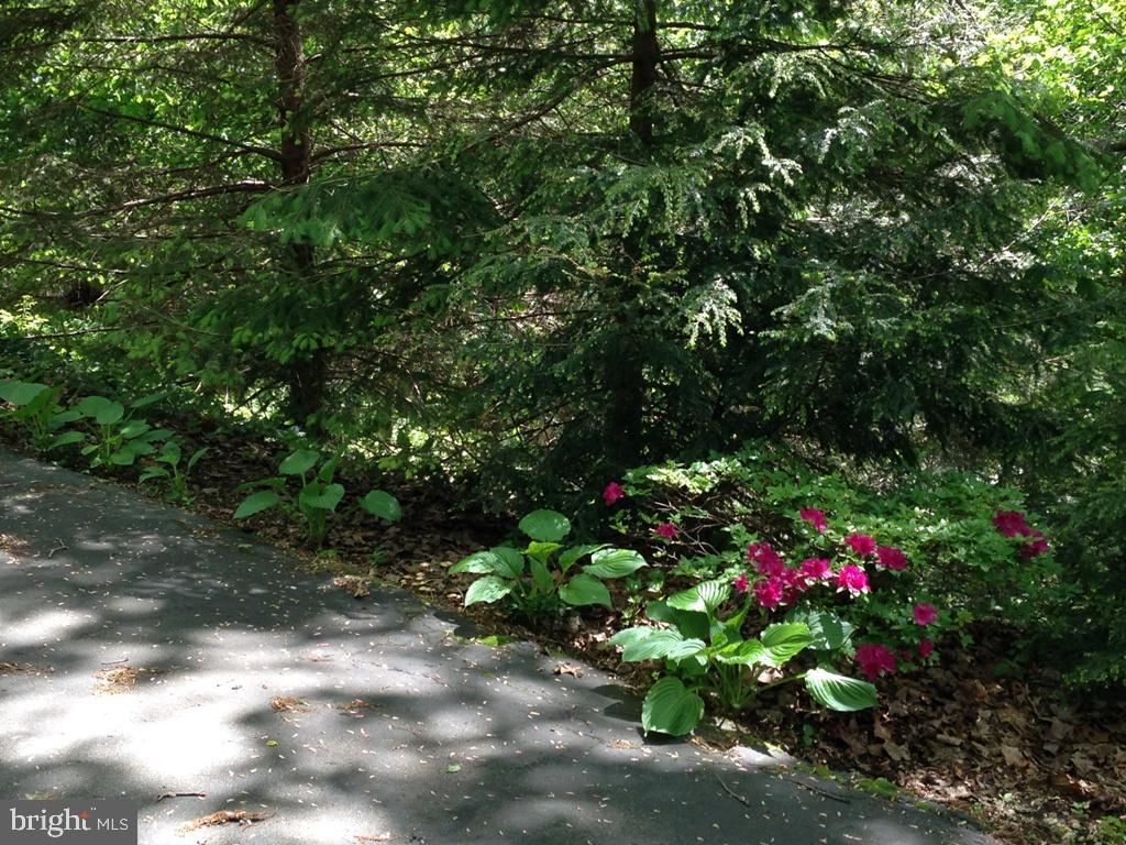 1161 Cider Press Road Manheim, PA 17545 - Photo 55 of 56 a view of a flower in a yard