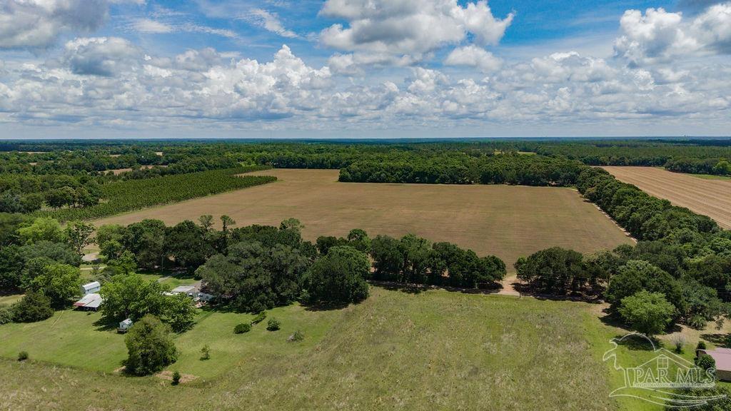 17 Three Three Oaks Lane Pace, FL 32571 - Photo 4 of 10