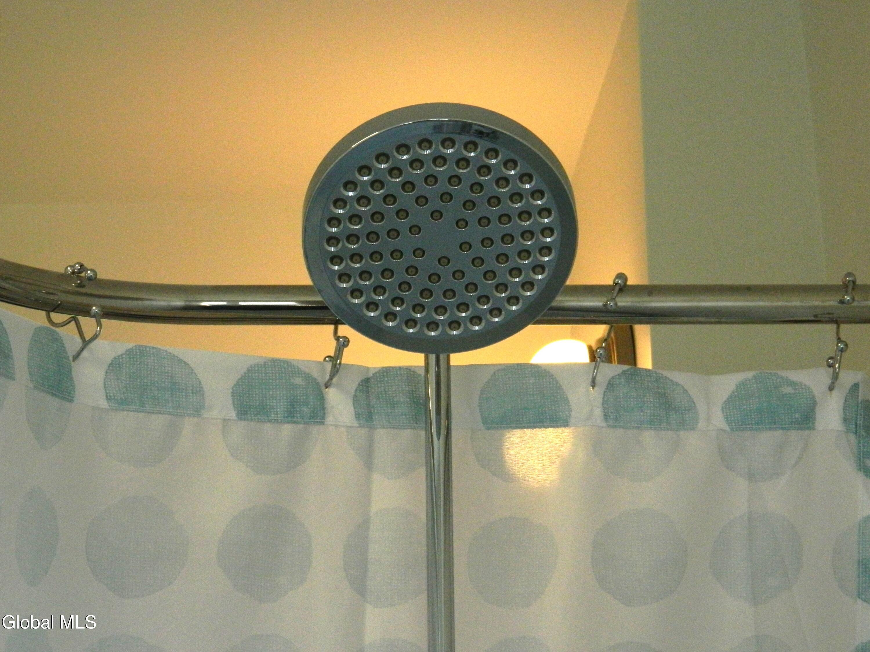 1355 Dewitt Street Schenectady, NY 12303 - Photo 68 of 88 Large Rain Showerhead