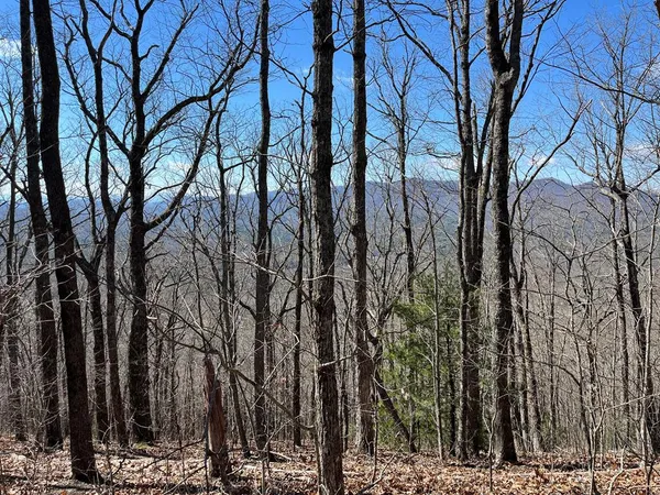 $80,000 | Tbd Treehouse Trail, Murphy, NC 28906