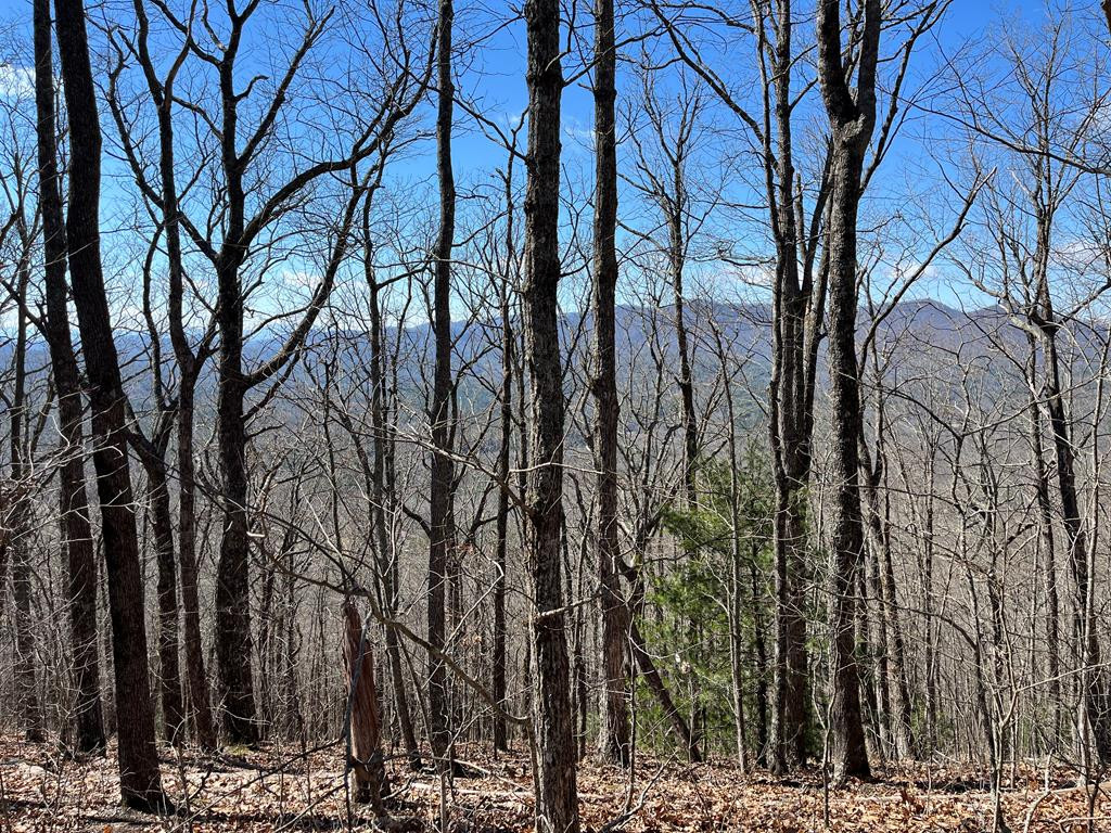 Tbd Treehouse Trail Murphy, NC 28906 - Photo 1 of 9 Main View