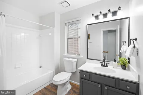 a view of bathroom with a potted plant on the counter and sink