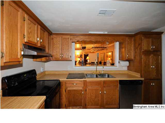 124 Mooney Road Columbiana, AL 35051 - Photo 12 of 31