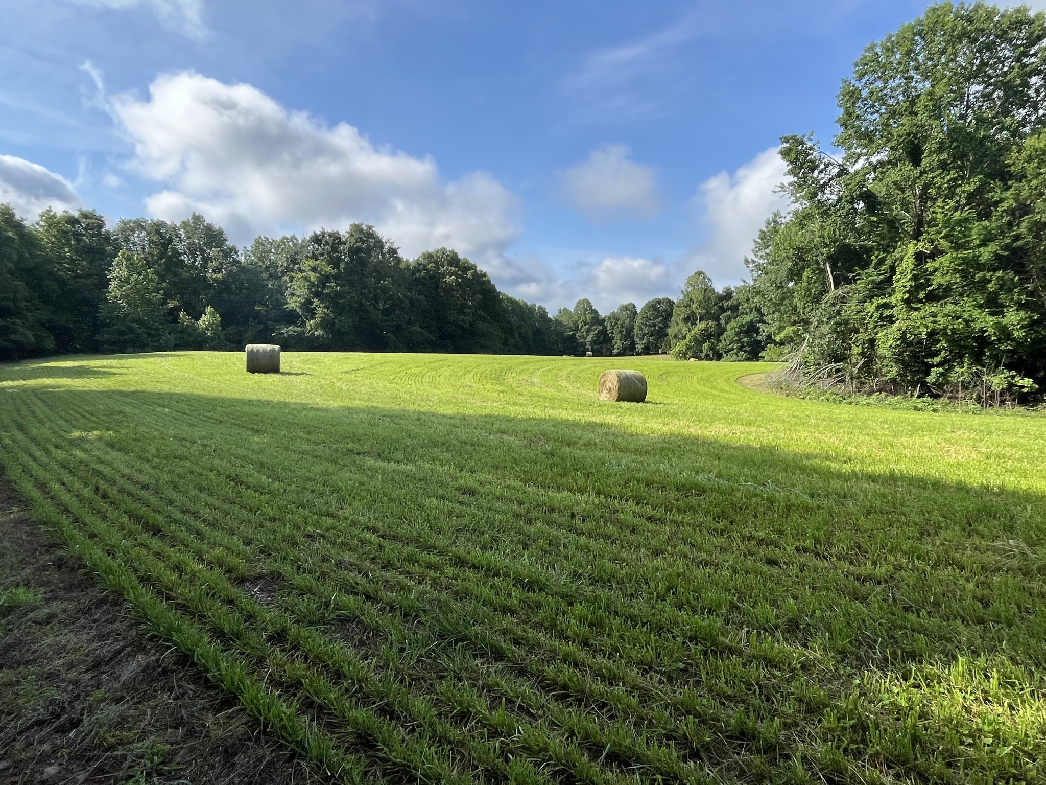 0 Johnson Road Lutts, TN 38471 - Photo 63 of 68 Gallery Image 63