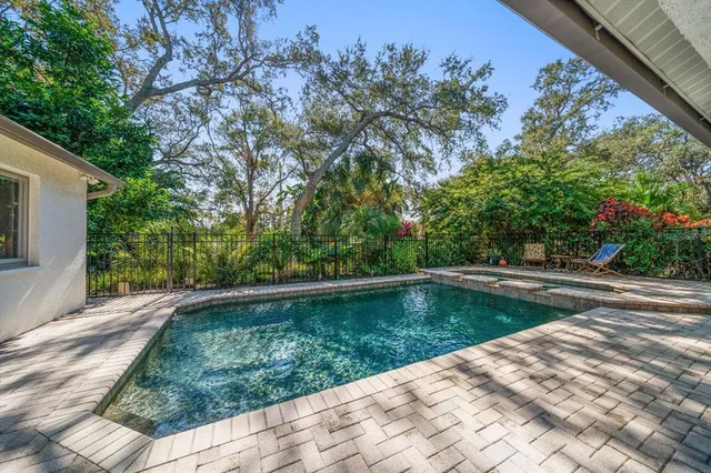a view of a yard with plants and large trees