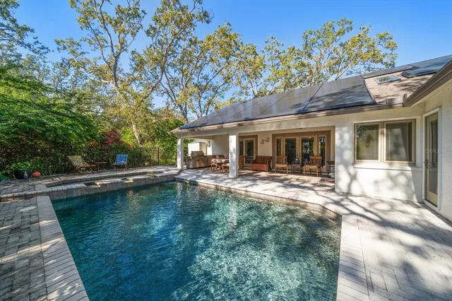 a view of a yard with plants and large trees