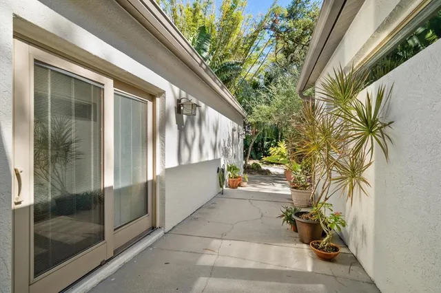 a view of a yard with plants and trees