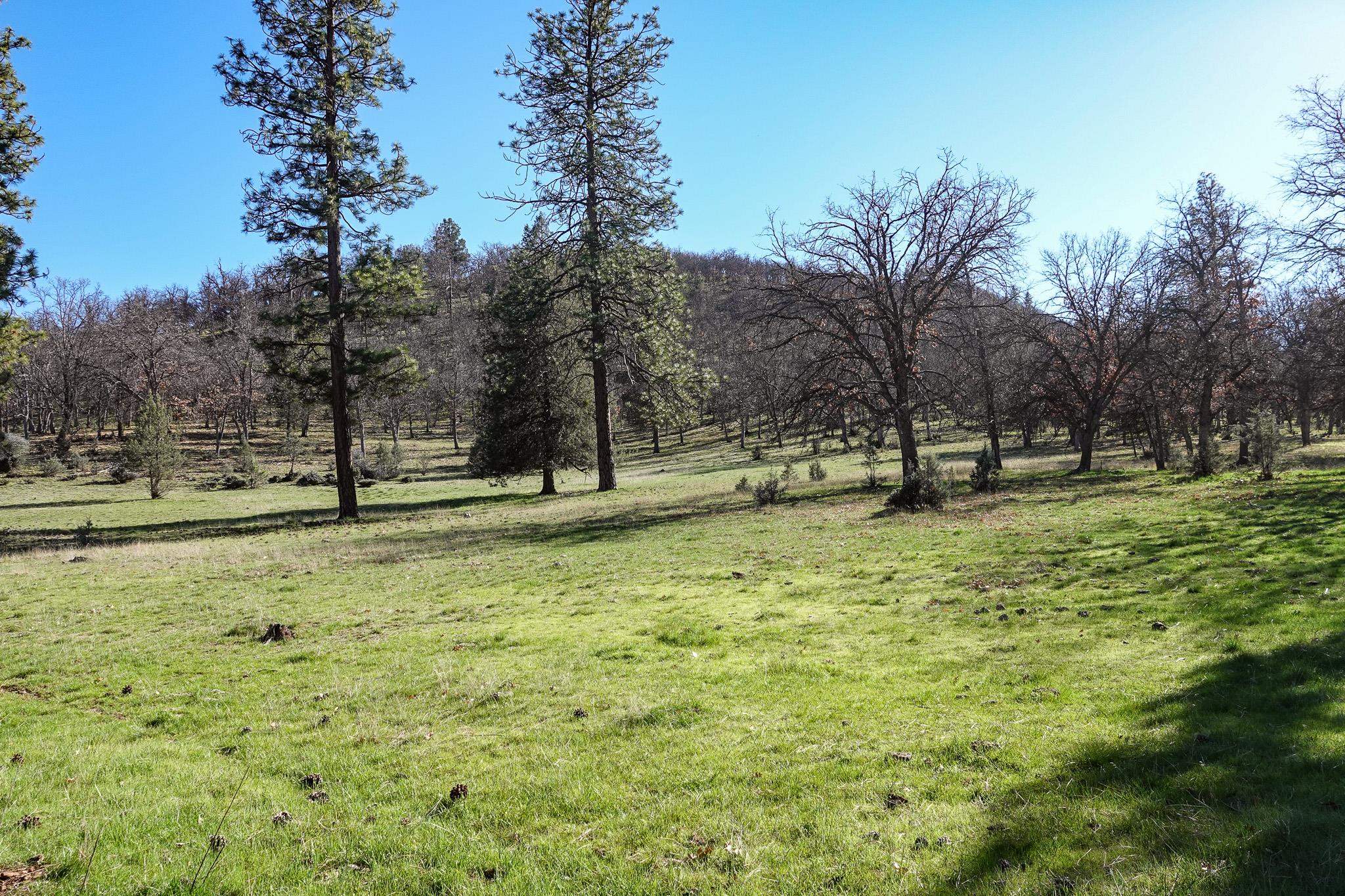 0 Scarface Road Fort Jones, CA 96032 - Photo 18 of 35 Gallery Image 18