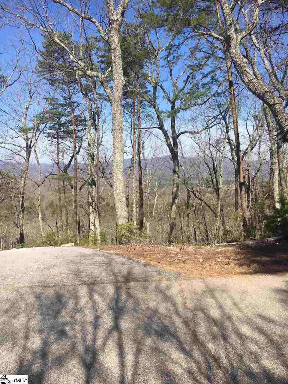 34021 Packs Mountain Ridge Road Taylors, SC 29687 - Photo 3 of 4