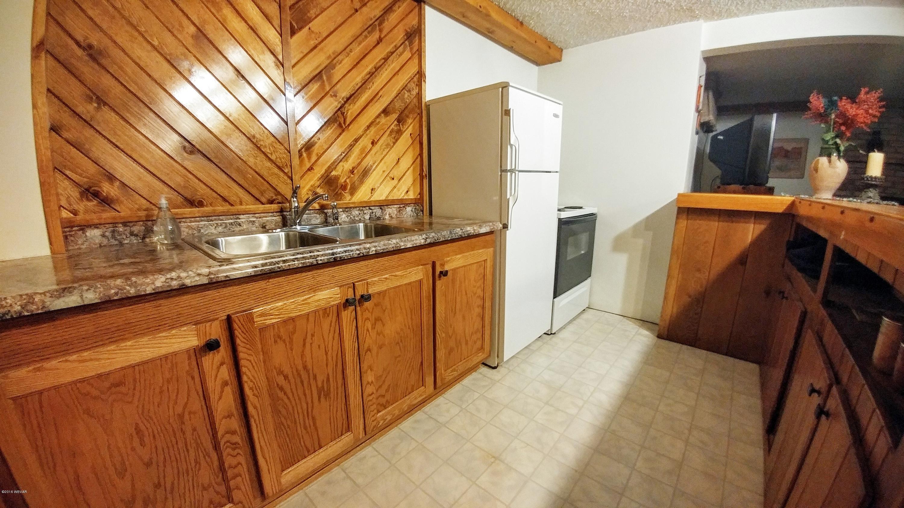 152 Heim Road Cogan Station, PA 17728 - Photo 21 of 35 Family Room Wet Bar