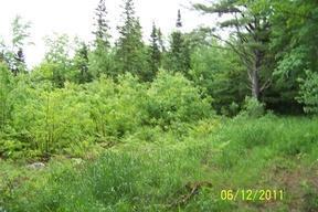 0 Route 15 Dover Road Charleston, ME 04422 - Photo 1 of 1 Other.