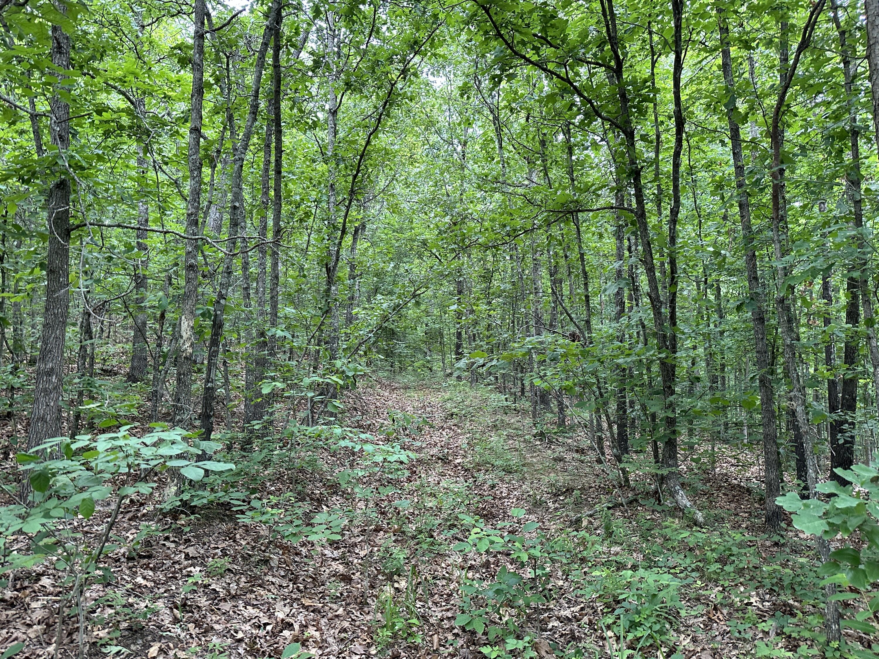 14 Williams Creek Road Denton, KY 41132 - Photo 27 of 29 27