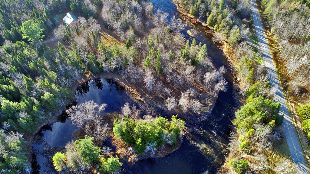 1826 Bancroft Road Bancroft, ME 04497 - Photo 30 of 73