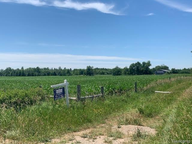 0 Hurds Corner Road Mayville, MI 48744 - Photo 3 of 12 Gallery Image 3