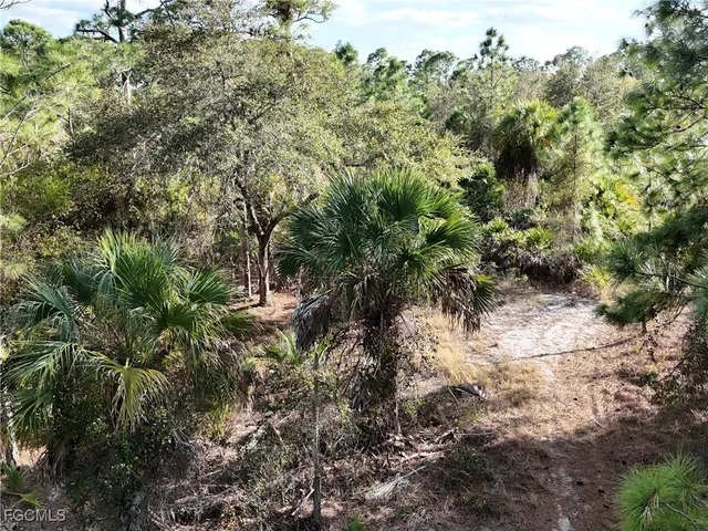 $40,000 | 5010 Squaw Lane, LaBelle, FL 33935