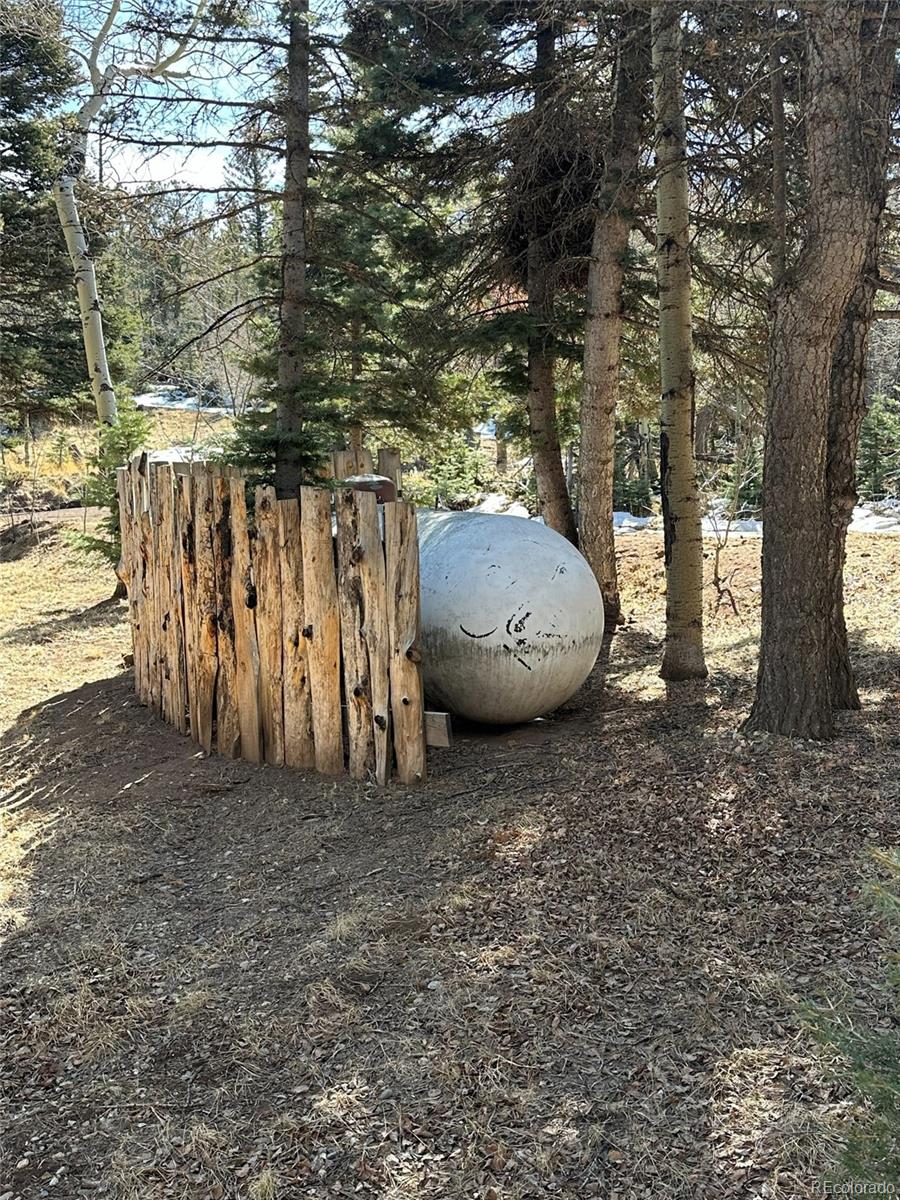 2945 Forbes Park Road Fort Garland, CO 81133 - Photo 29 of 36