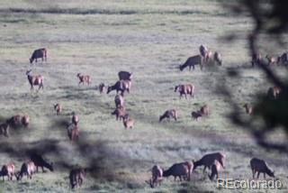 2945 Forbes Park Road Fort Garland, CO 81133 - Photo 35 of 36