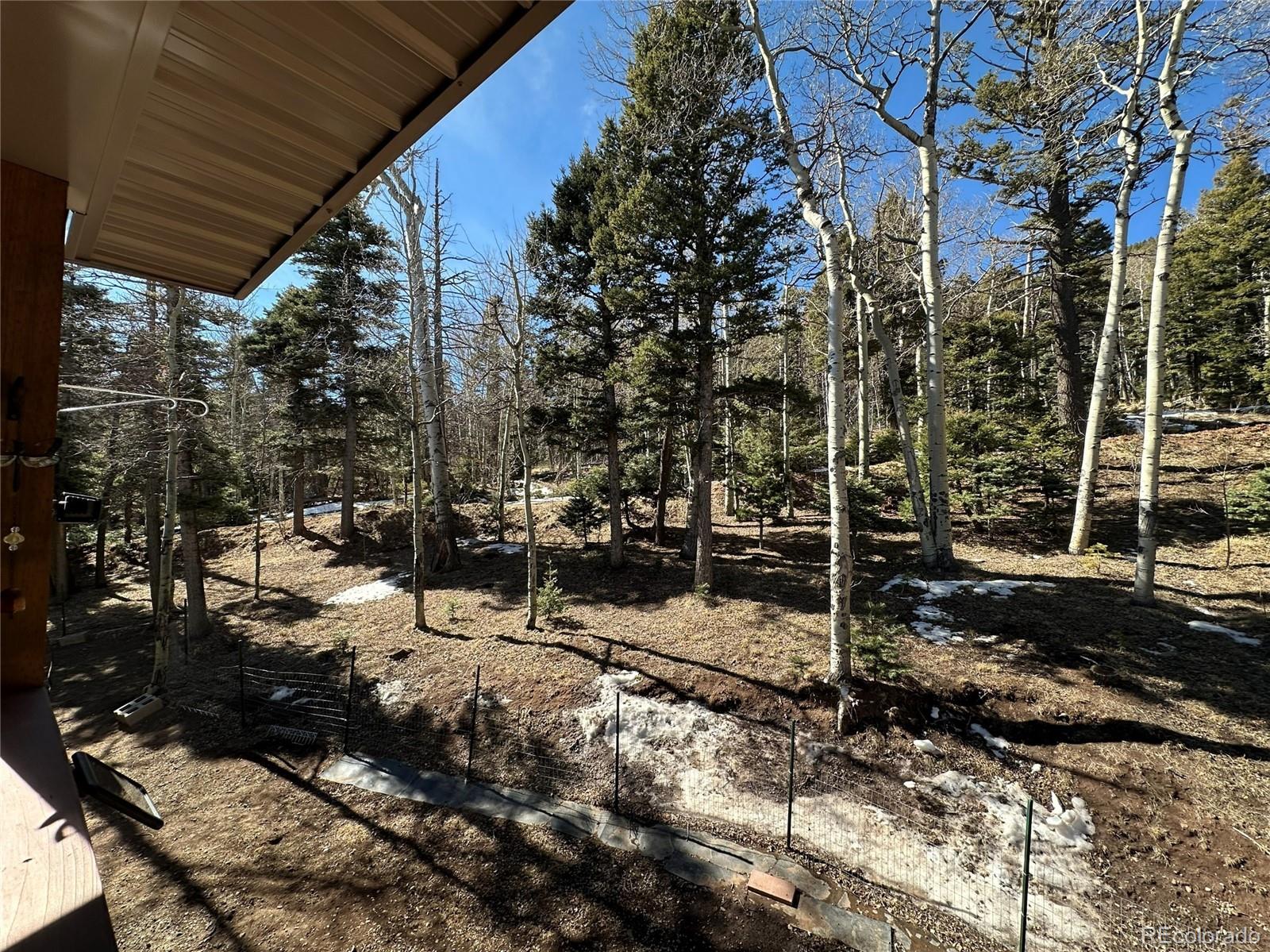 2945 Forbes Park Road Fort Garland, CO 81133 - Photo 4 of 36 a view of a house with a tree