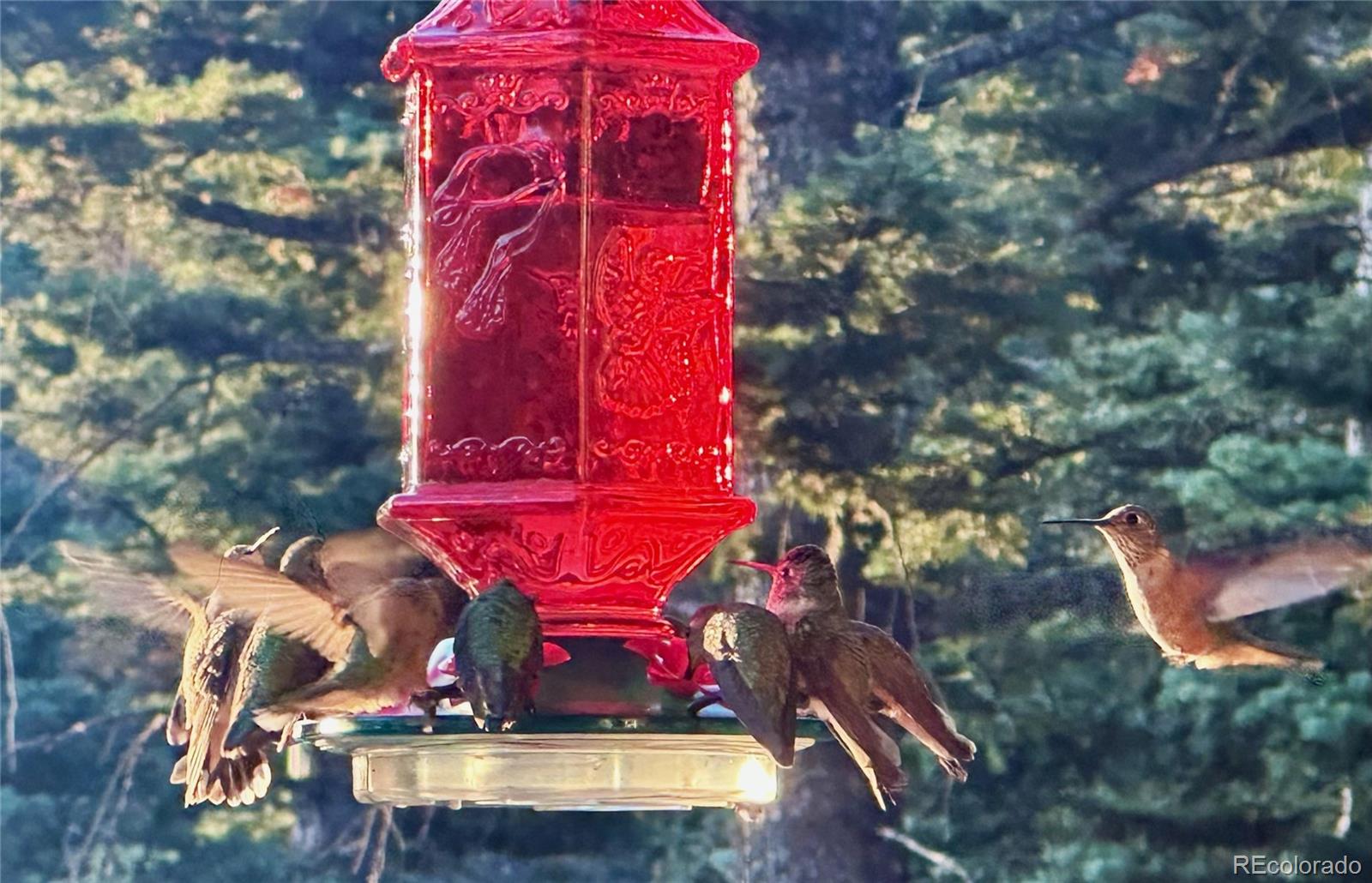 2945 Forbes Park Road Fort Garland, CO 81133 - Photo 5 of 36