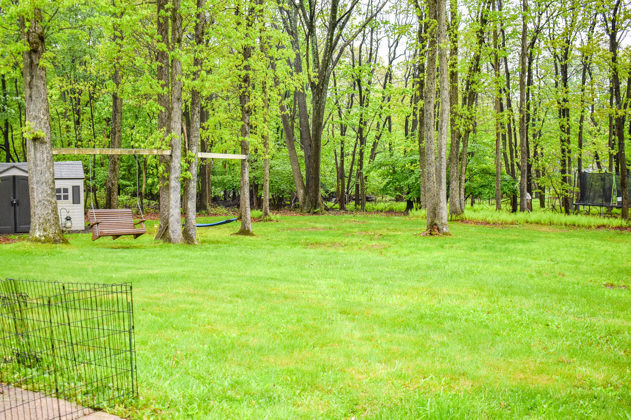 29 Hi Tor E Road Freeland, PA 18224 - Photo 10 of 28 a backyard of a house with lots of green space and garden