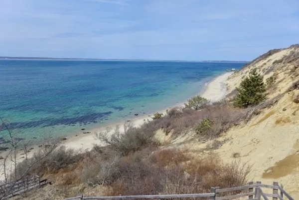a view of a dry yard with wooden floor and fence