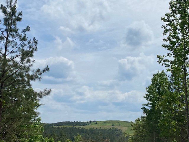 0 Tract 14 B Ridge Road Decatur, TN 37322 - Photo 4 of 5