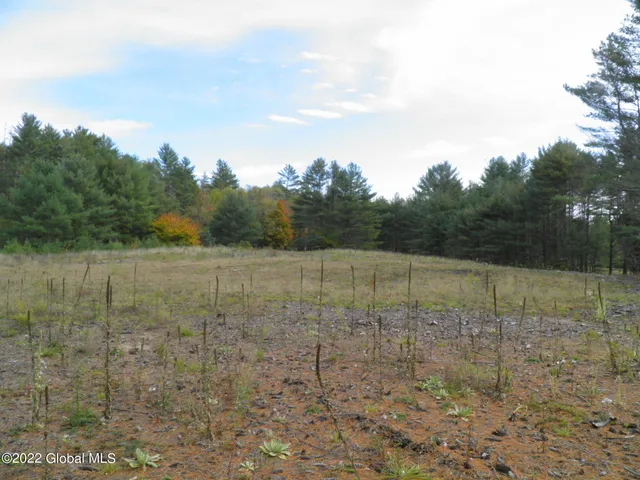 $738,850 | 234 Old River Road, Chester, NY 12853