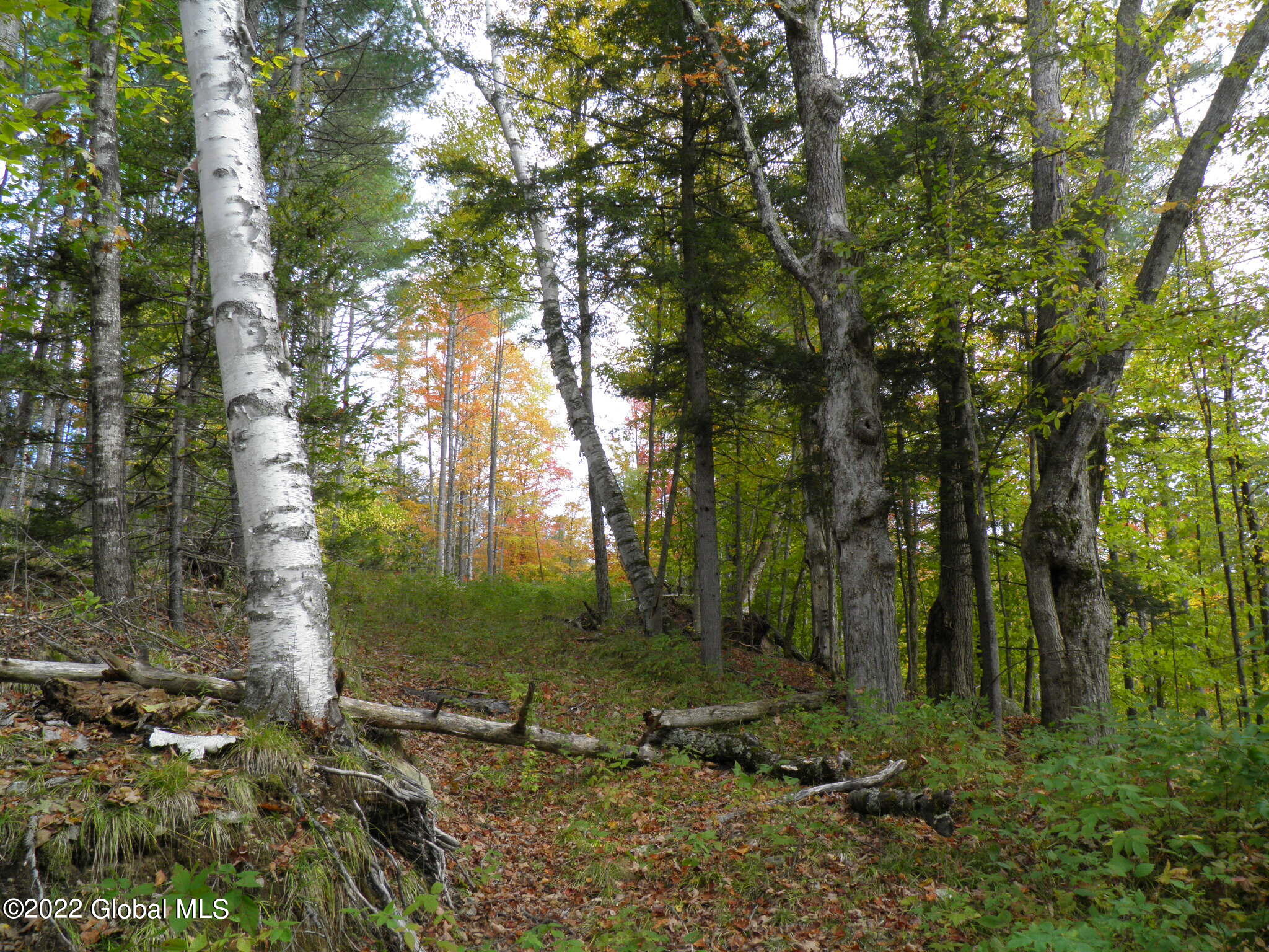 234 Old River Road Chester, NY 12853 - Photo 14 of 22 32 Woods Trail