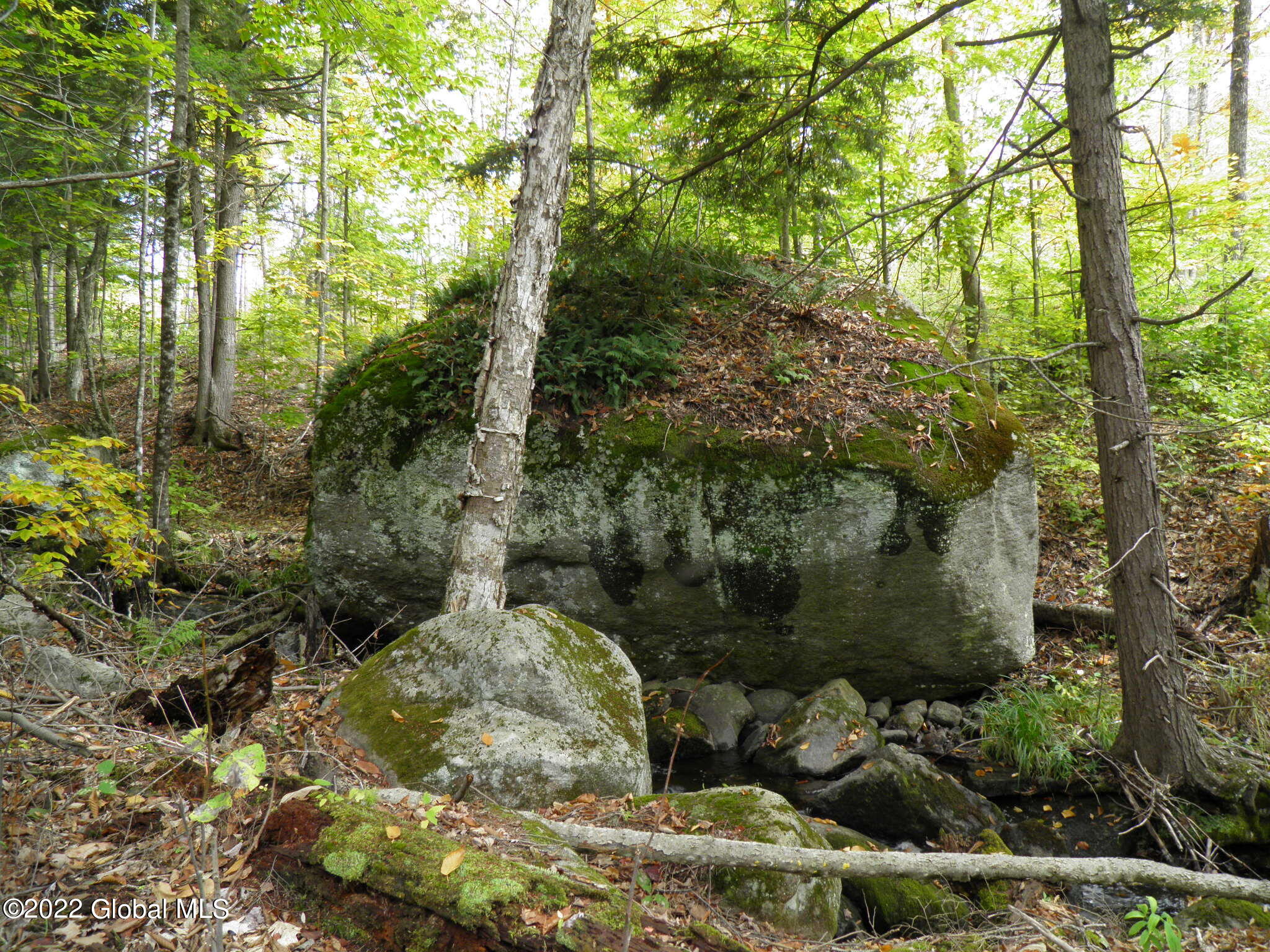 234 Old River Road Chester, NY 12853 - Photo 15 of 22 38 Huge Boulder