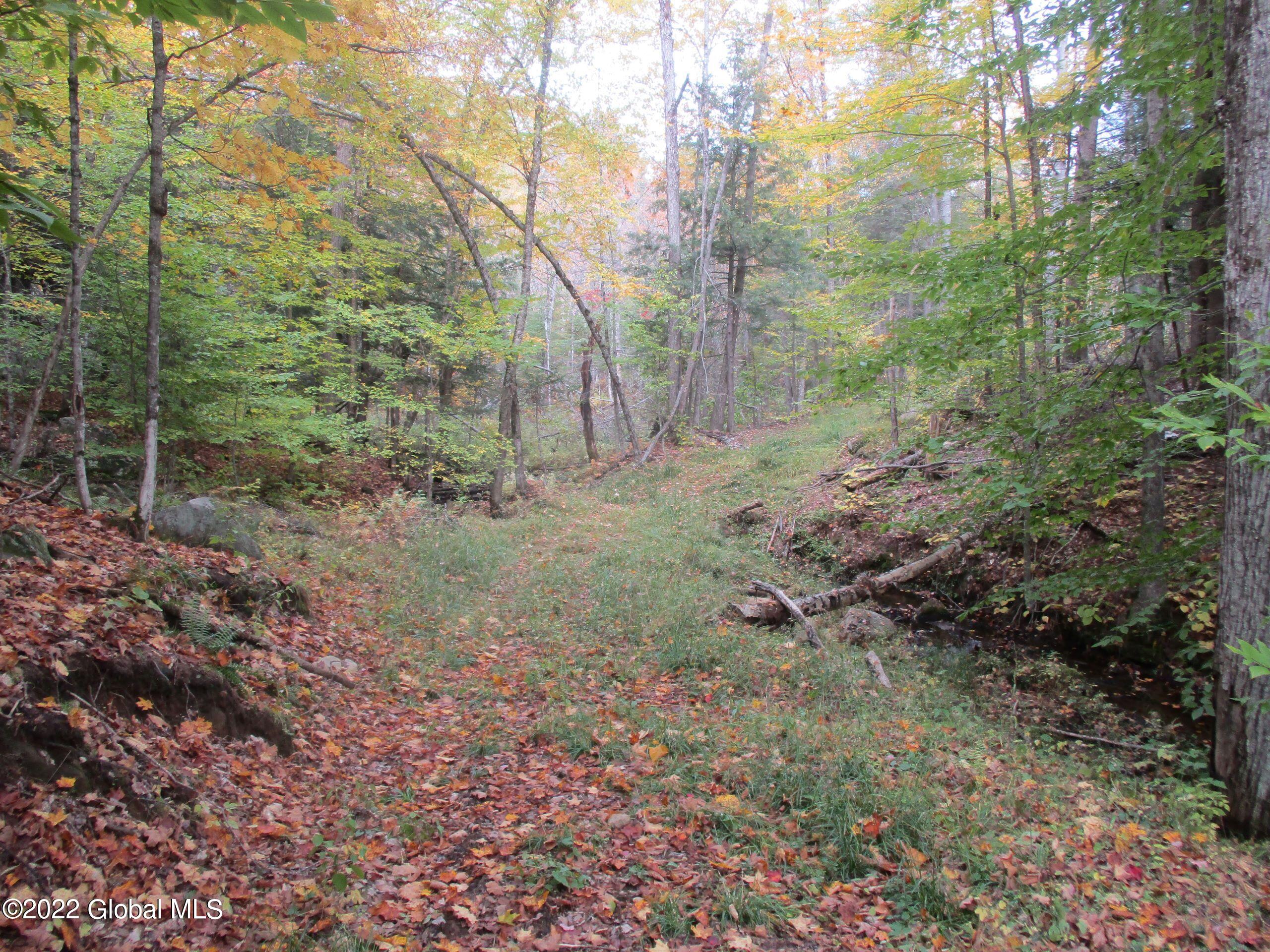 234 Old River Road Chester, NY 12853 - Photo 18 of 22 89 Truck Road