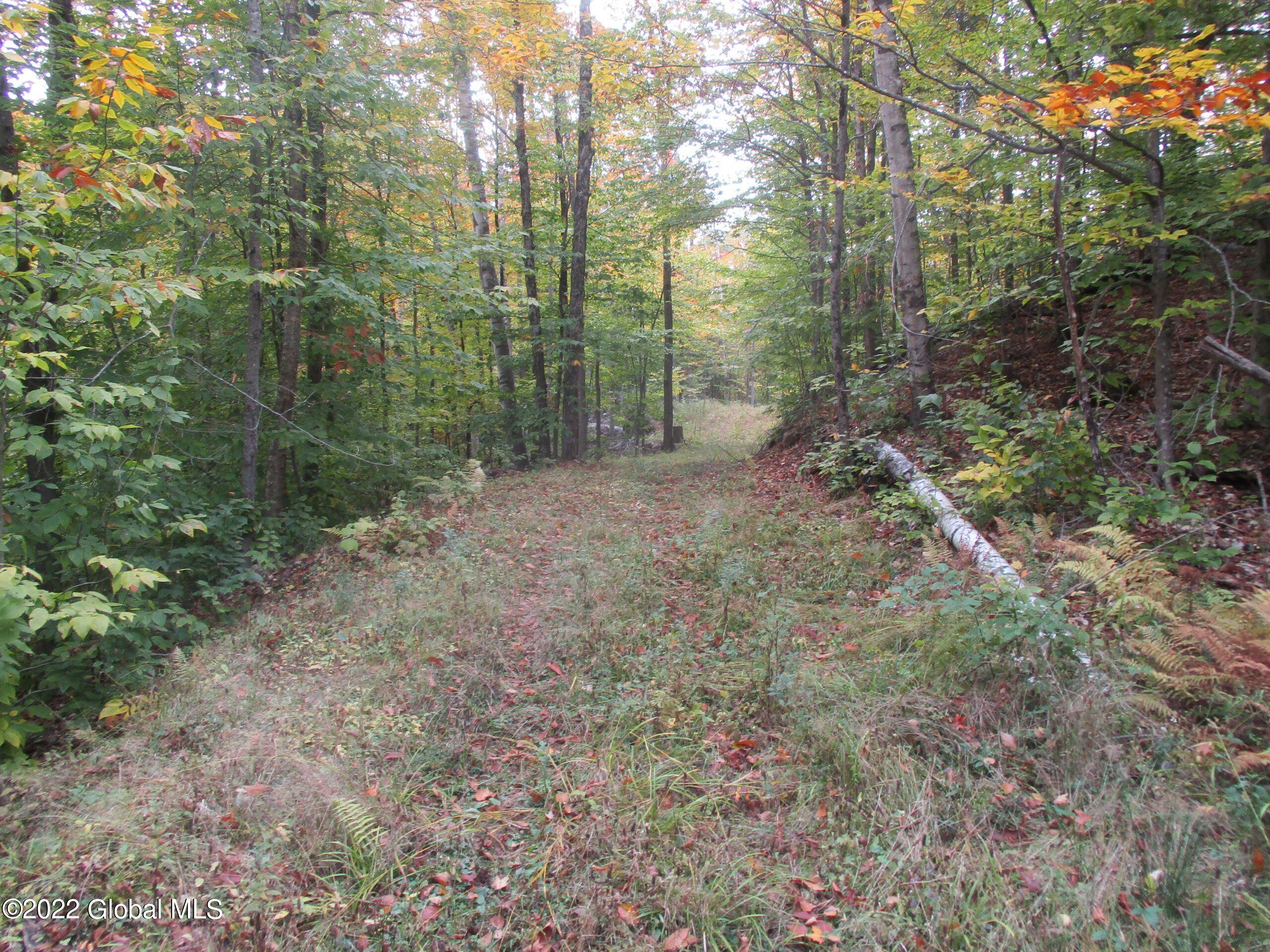 234 Old River Road Chester, NY 12853 - Photo 19 of 22 88 Truck Road