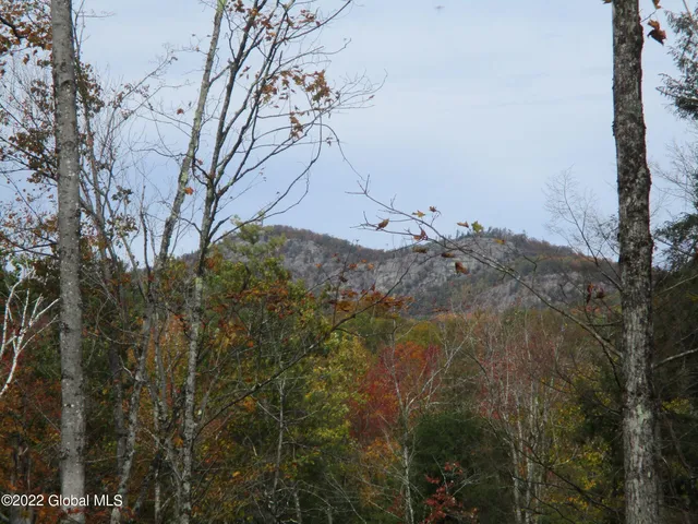 $738,850 | 234 Old River Road, Chester, NY 12853