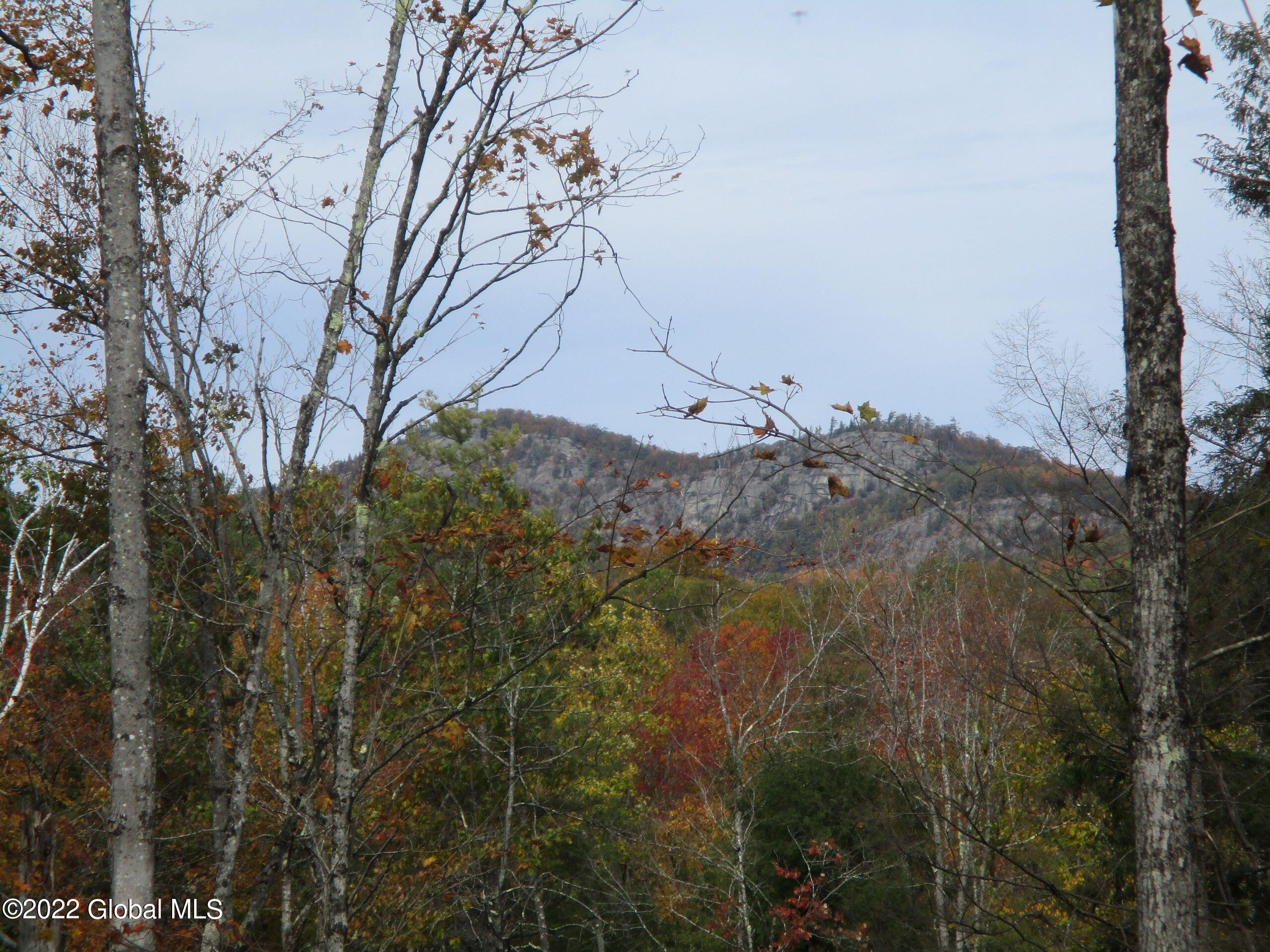 234 Old River Road Chester, NY 12853 - Photo 21 of 22 77 Moxam Mtn.