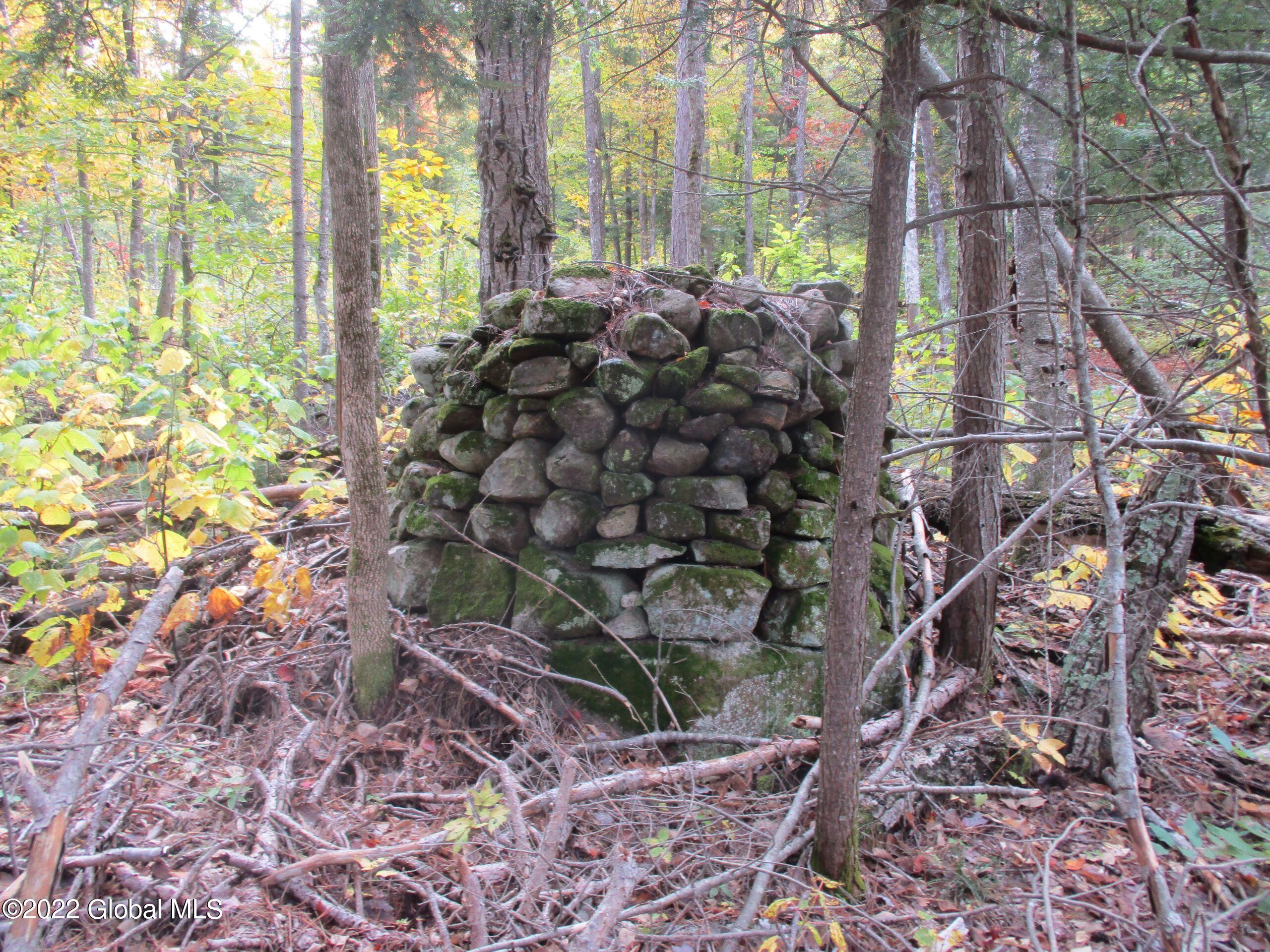 234 Old River Road Chester, NY 12853 - Photo 22 of 22 78 Stone Pile-Old Settlement