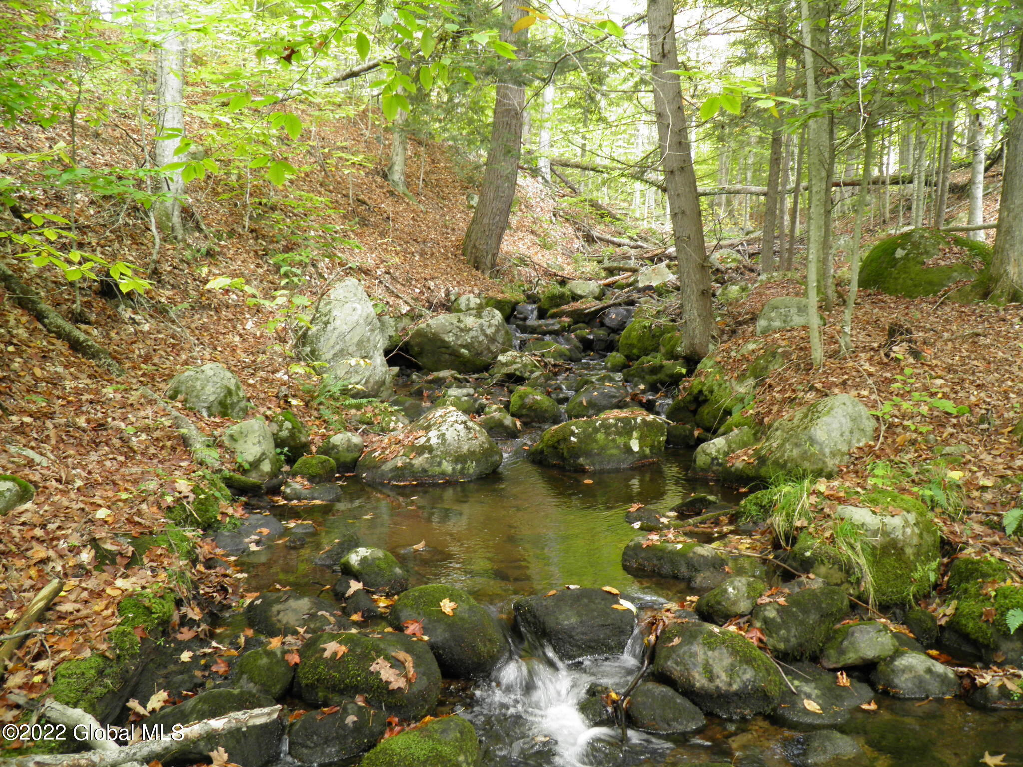 234 Old River Road Chester, NY 12853 - Photo 5 of 22 23 Stream