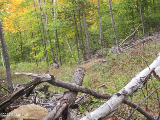 $738,850 | 234 Old River Road, Chester, NY 12853