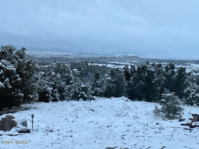 4958 Cemetery Road Clay Springs, AZ 85923 - Photo 36 of 46 Snow2