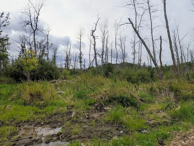 $59,000 | 25627 310th Place, Aitkin, MN 56431