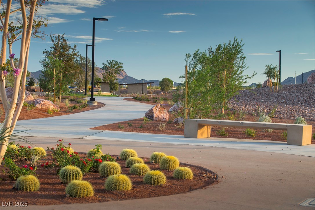 341 Cymbal Place Henderson, NV 89015 - Photo 41 of 57