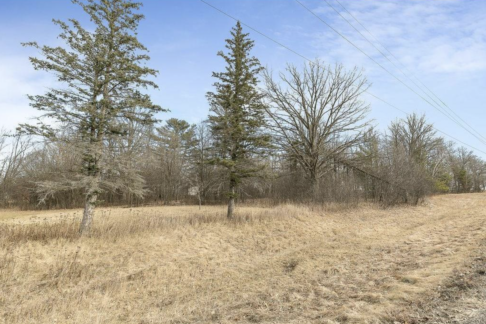 Tbd Dove Road Randall, MN 56475 - Photo 6 of 6