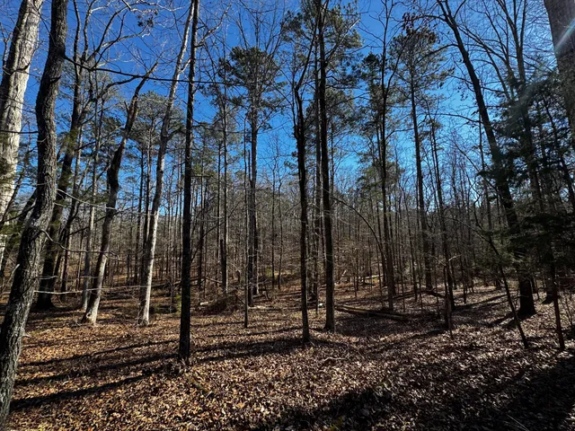 $34,000 | 0 Forest Lake Drive, Lincolnton, GA 30817