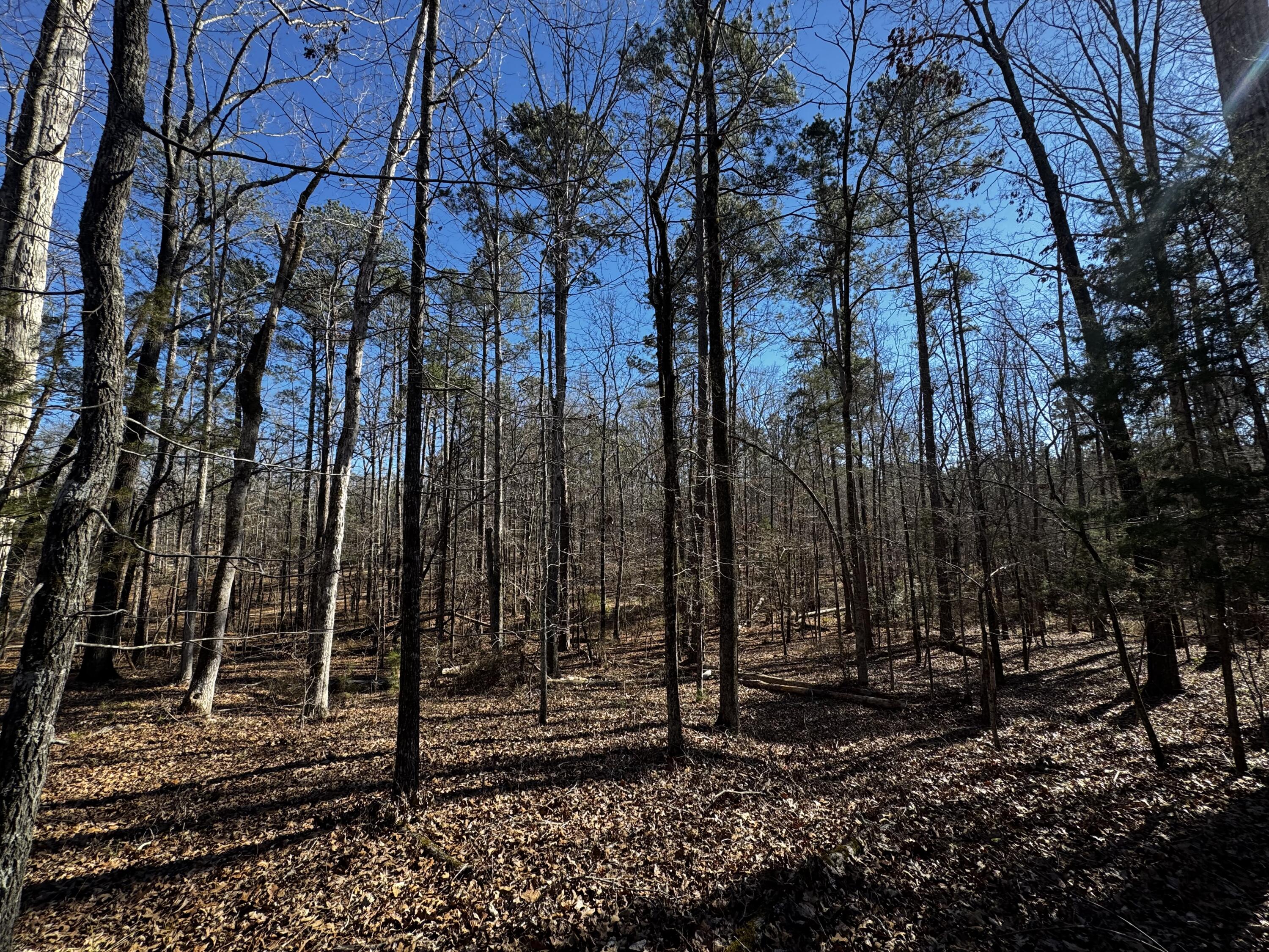 0 Forest Lake Drive Lincolnton, GA 30817 - Photo 11 of 12 3