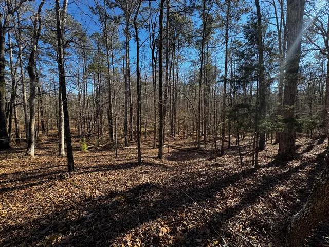 $34,000 | 0 Forest Lake Drive, Lincolnton, GA 30817