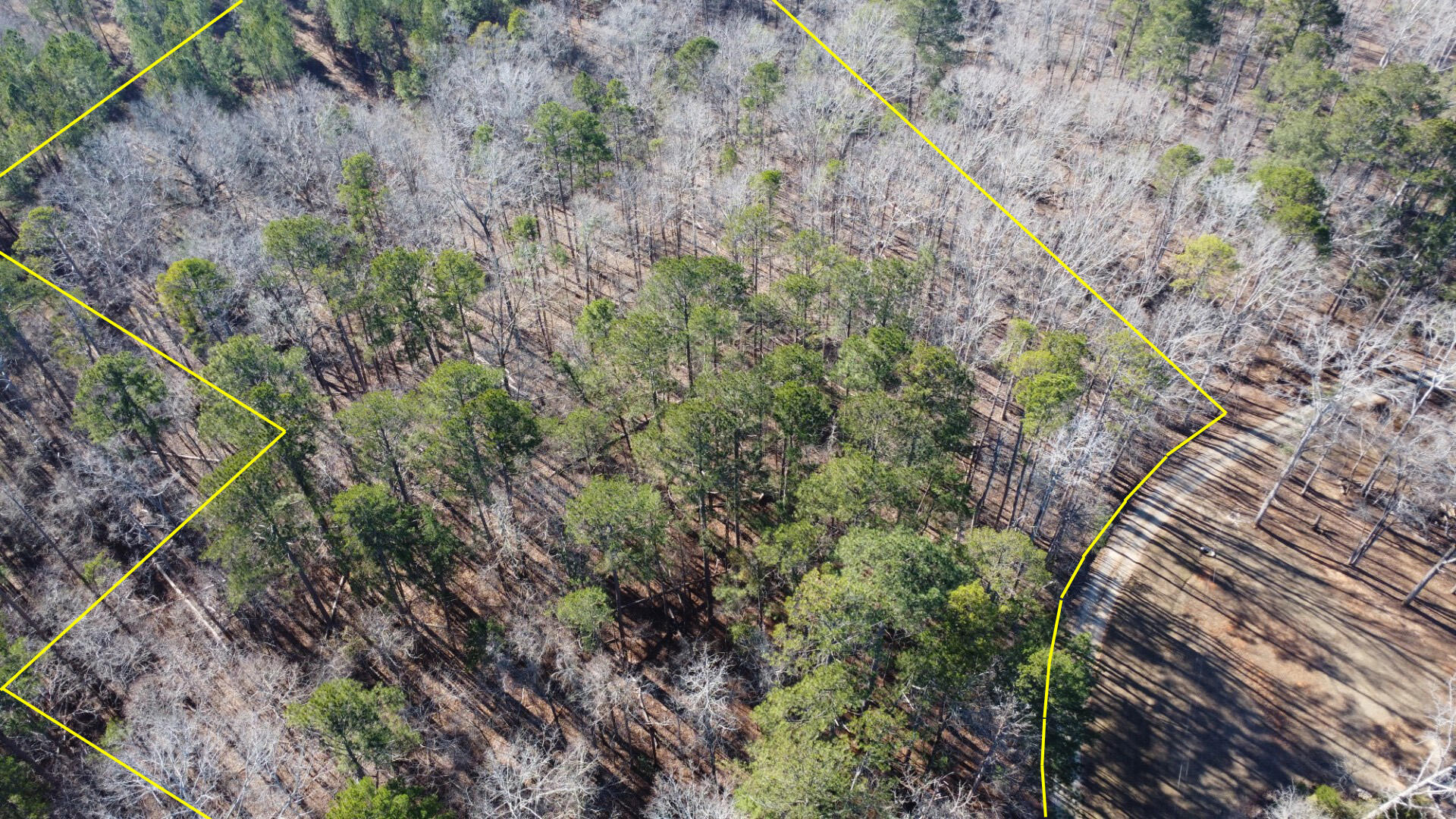 0 Forest Lake Drive Lincolnton, GA 30817 - Photo 3 of 12 Aerial2