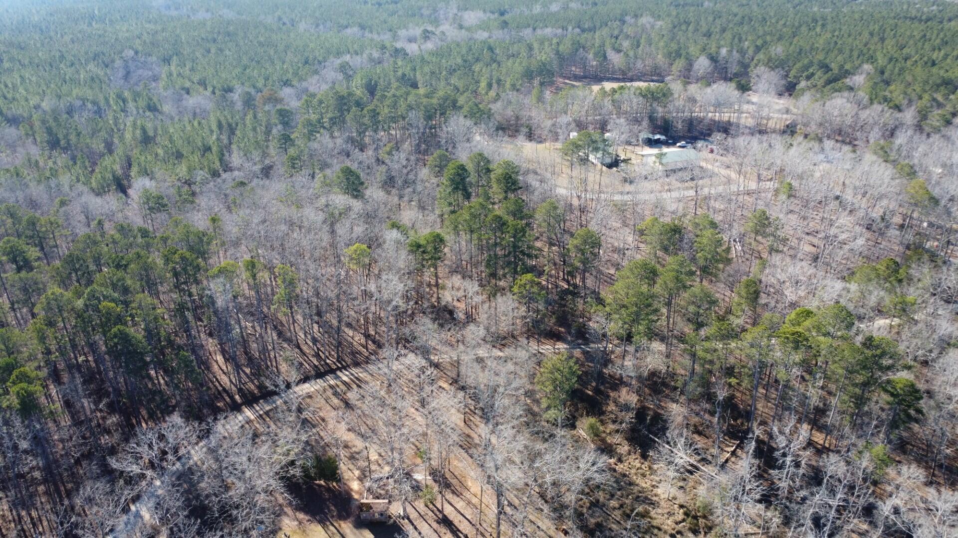 0 Forest Lake Drive Lincolnton, GA 30817 - Photo 5 of 12 Aerial4