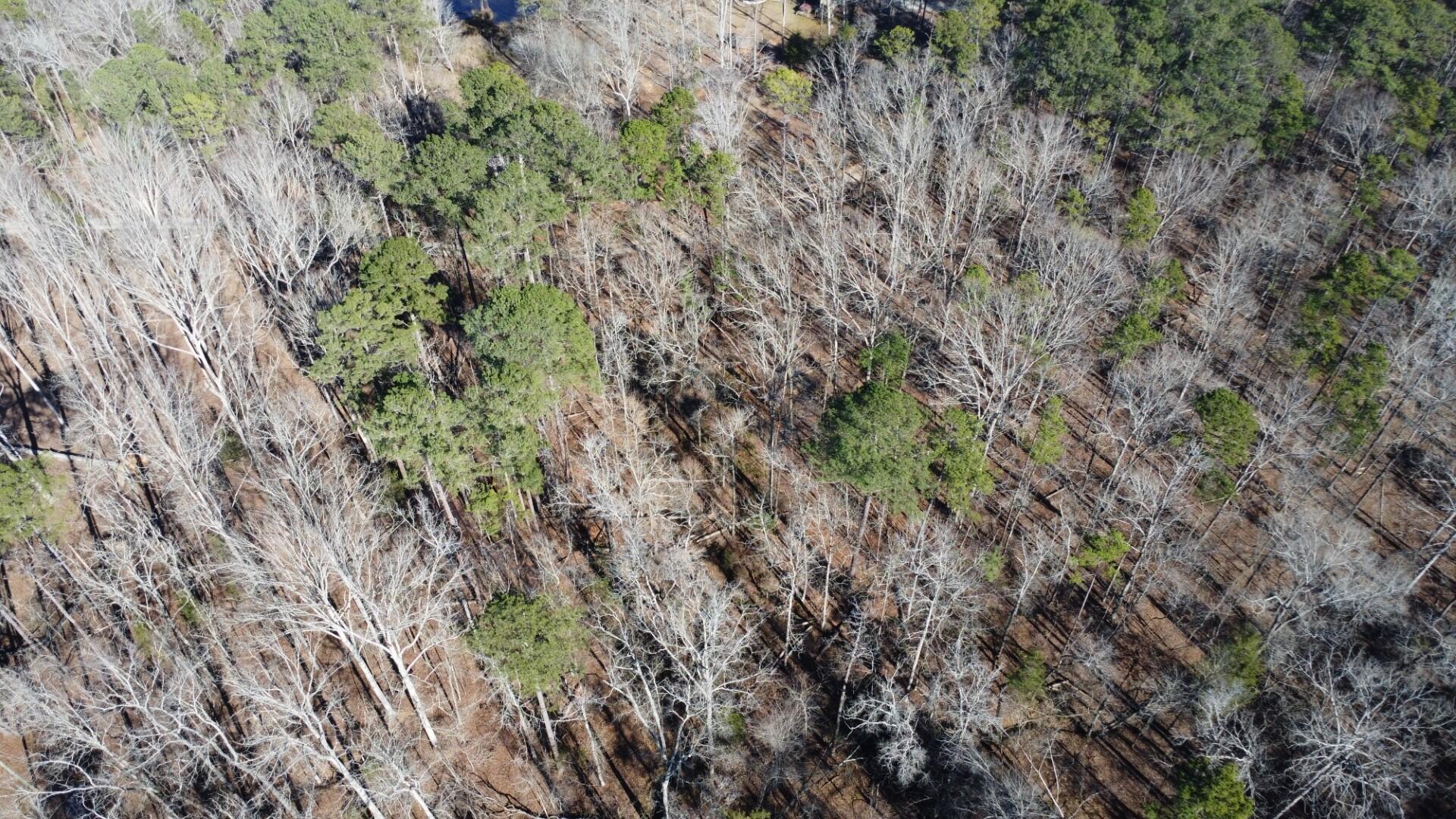 0 Forest Lake Drive Lincolnton, GA 30817 - Photo 7 of 12 Aerial6