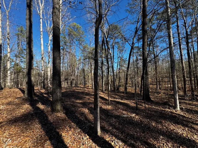 $34,000 | 0 Forest Lake Drive, Lincolnton, GA 30817