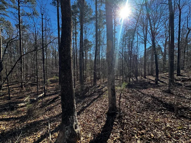 $34,000 | 0 Forest Lake Drive, Lincolnton, GA 30817