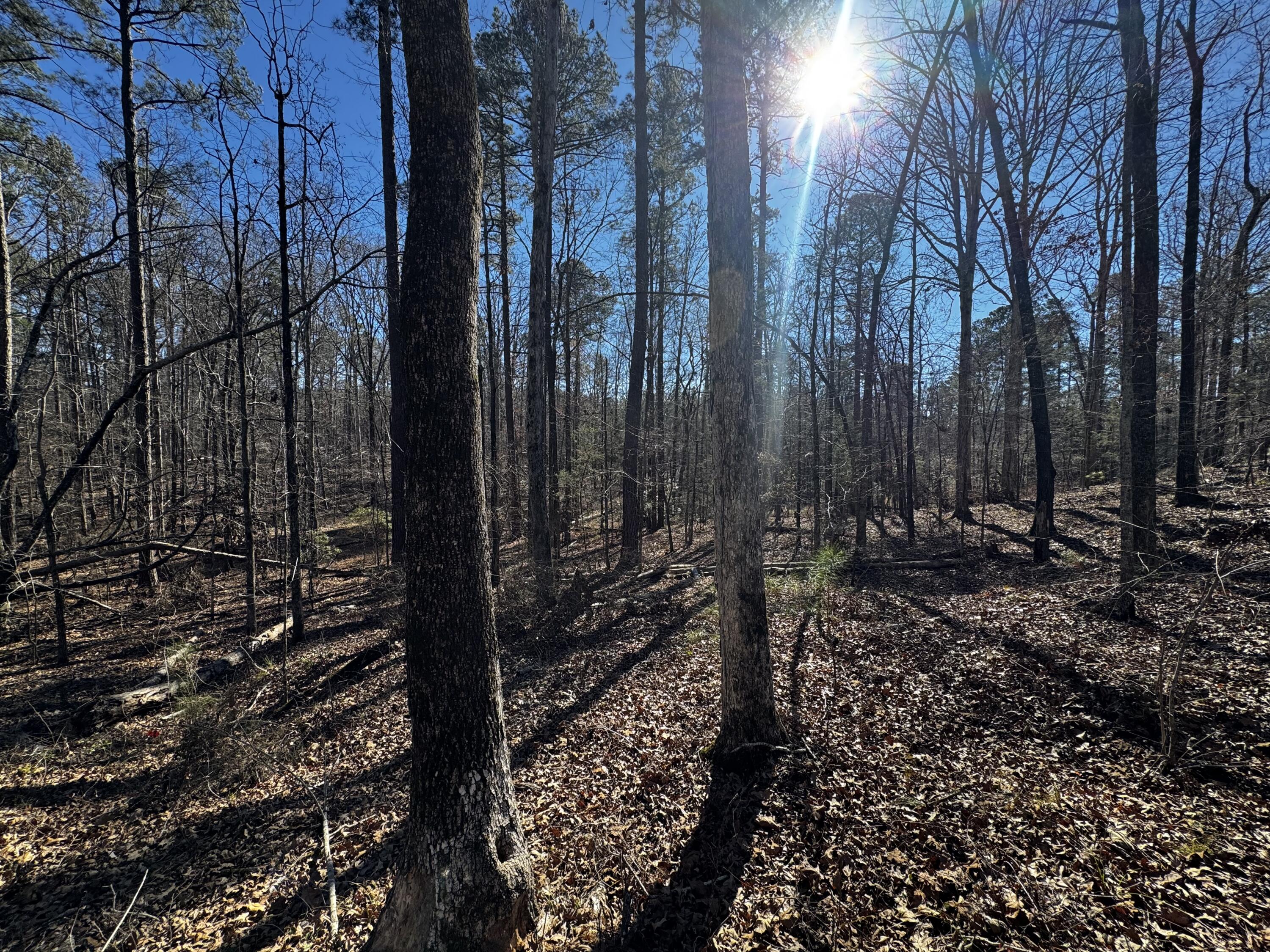 0 Forest Lake Drive Lincolnton, GA 30817 - Photo 10 of 12 2
